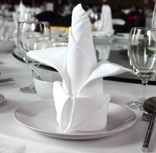 Table Linen: 12 x White Cotton Napkins; 100% Egyptian Cotton; 250 TC